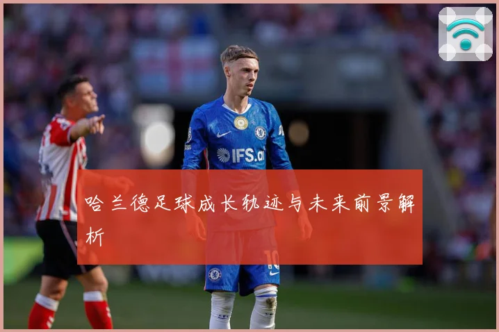 哈兰德足球成长轨迹与未来前景解析