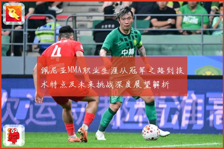 佩尼亚MMA职业生涯从冠军之路到技术特点及未来挑战深度展望解析