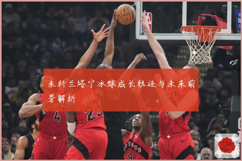 米科兰塔宁冰球成长轨迹与未来前景解析