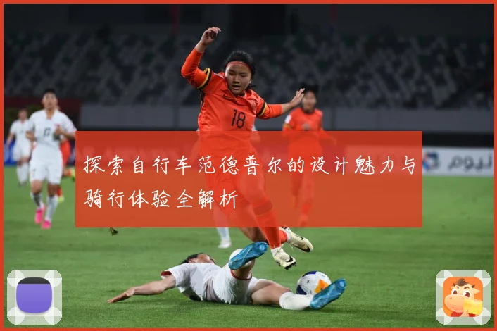 探索自行车范德普尔的设计魅力与骑行体验全解析