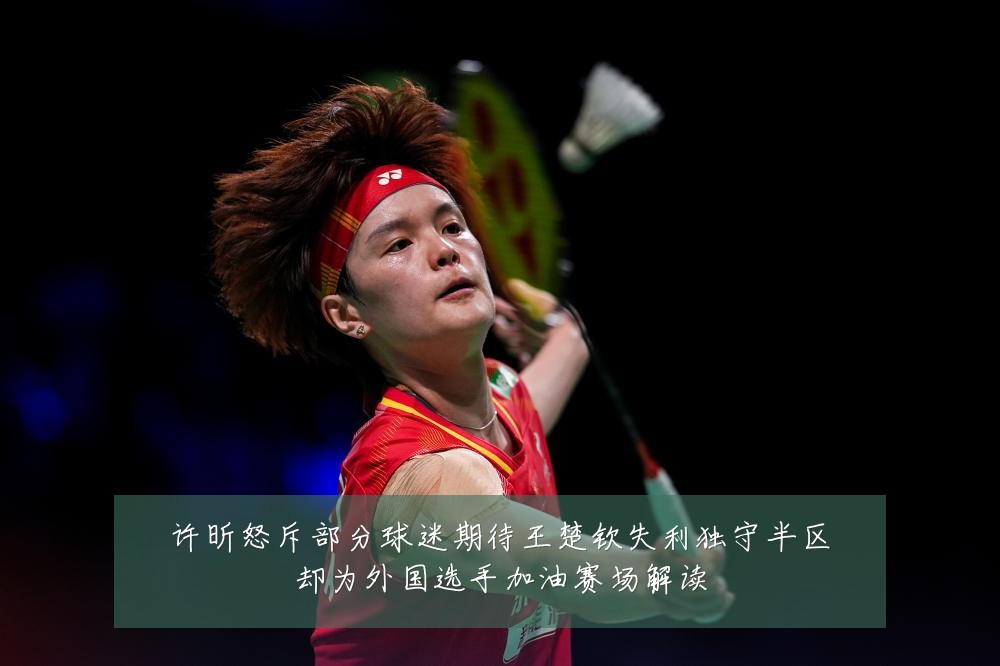 许昕怒斥部分球迷期待王楚钦失利独守半区却为外国选手加油赛场解读